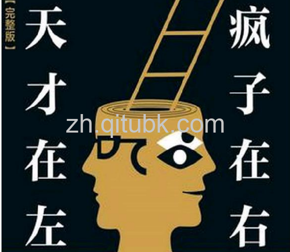 天才在左,疯子在右.pdf电子书下载（高铭 著）